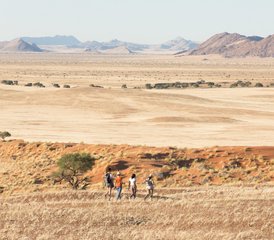 3 jours en stage de safari en Namibie à Sossusvlei, Namibie - Photo 4