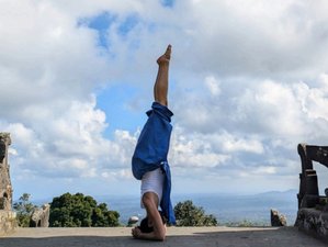6 Day Jungle Harmony: Yoga Retreat in Ubud Bali, Indonesia