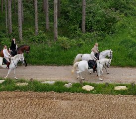 5 Tage Aktiv-Reiturlaub für alle Niveaus und Premium-Landaufenthalt in Dolenjska, Slowenien - Photo 2