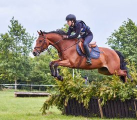 6 Tage Reittour mit Gestüt, Windmühlen und ganzer Tag bei Military Boekelo in den Niederlanden - Photo 5