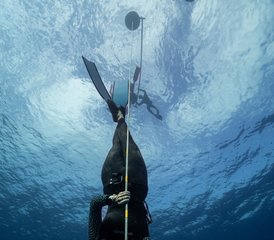 107 Day Yoga and Freediving Holiday in Lembongan, Bali, Indonesia - Photo 1