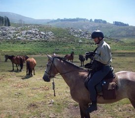 8 Day Adventurous Wild Horse Riding Tour in Alto Minho, Northern Portugal - Photo 2