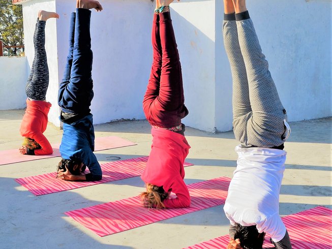 Chaturanga Dandasana - Yog Niketan Dham