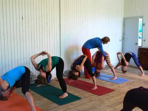 6 Day Real Yoga Nordic Retreat with Alexander Technique in Samsø