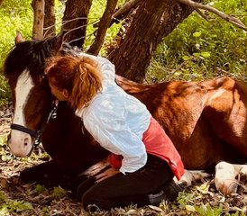 113 Jour Circuit Privé à Cheval au Maroc pour Tous les Niveaux : Forêt, Dunes et Plages - Photo 1