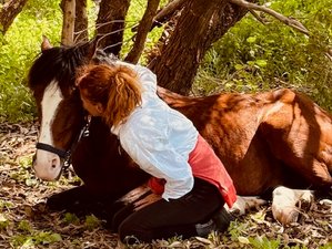 3 Day Private Horse Trekking Adventure Tour in Morocco for All Levels: Forest, Dunes, and Beaches