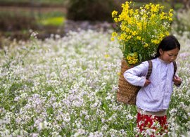Bac Ha Retreats & Trips
