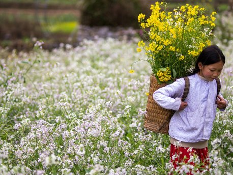 Bac Ha