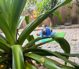 6 Day Private Solo or Couple Detox Healing Retreat in Siem Reap, Cambodia - Photo 3