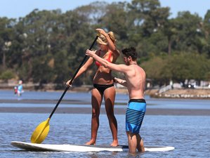 7 Day Invigorating SUP Surf Camp Brisbane, Queensland, in Australia