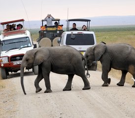 5-Daagse Luxueuze Safari in Amboseli National Park en Lake Naivasha, Kenia - Photo 2