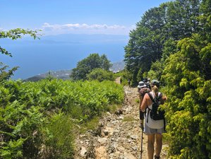 7 jours en stage de yoga et randonnée au Pélion, Grèce