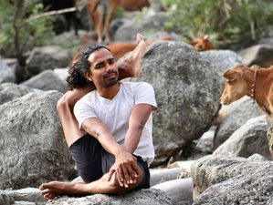 29 jours-300h en formation de professeur de yoga hatha et vinyasa en français à Rishikesh, Inde