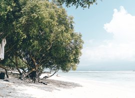 Gili Air Retreats & Trips