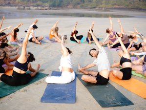 24 días de profesorado de yoga multiestilo de 200 horas que incluye yoga aéreo y SUP en la India