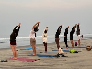 23 jours-200h en formation de professeur de yoga ashtanga à Goa, Inde