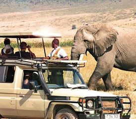 5 jours en stage safari au lac Manyara, au Serengeti et dans le cratère du Ngorongoro en Tanzanie - Photo 4