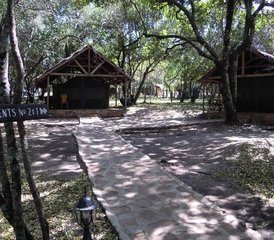 3 jours en stage de safari en camping au parc national d’Amboseli, Kenya - Photo 4