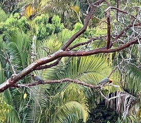 7 días de retiro privado de alineación del alma con yoga y pilates en Las Brisas Zen Center, Nayarit, México - Photo 4