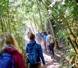 6 días de baño de bosque: yoga, arte y naturaleza en Huesca, España - Photo 2