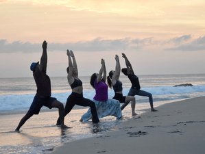 22 días de profesorado de yoga de 200 horas multiestilo en Varkala, Kerala, India