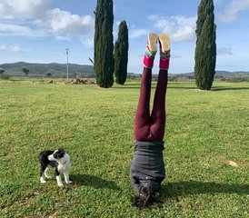 6 días de retiro de yoga personalizado relajante y actividades al aire libre en Toscana, Italia - Photo 5