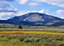 Yellowstone National Park Retreats & Trips