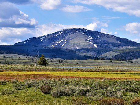 Yellowstone National Park