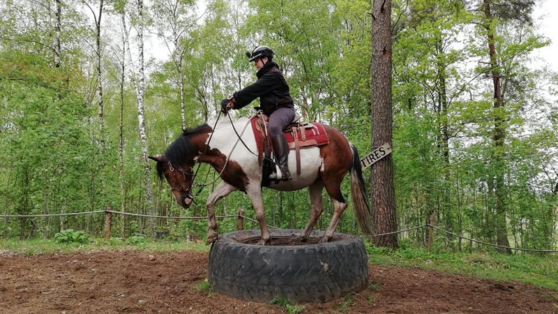 6 Days American Style Ranch Adventure and Horse Riding Holiday in Slöinge, Sweden
