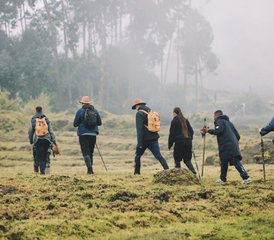 4 Tage Gorilla-Trekking-Safari mit Goldmeerkatze in Ruanda - Photo 4
