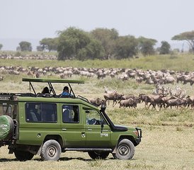 10 Day Luxurious Lodge Wildlife Safari in Kenya and Tanzania - Photo 2