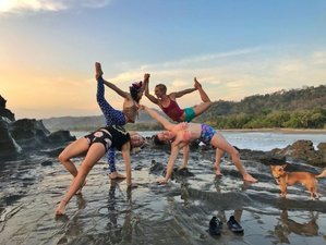 21 Tage 200-Stunden Mystische Yogalehrer Ausbildung in Malpais, Puntarenas