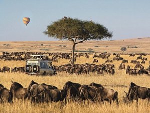 8 Day Lens on the Wild Safari: Iconic Kenya Landscapes and Wildlife in Samburu, Ol Pejeta, and More