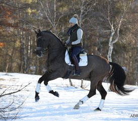 3 Day Private Horses and Nature Holiday in Serra da Estrela, Portugal - Photo 2
