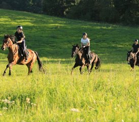 5 Day Luxury Horse Riding Holiday in the Heart of Drawsko Lake District, Poland - Photo 3