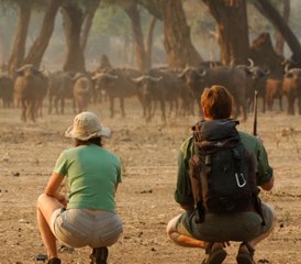 4 Tage Mana Shoreline Walking Safari Tour in Simbabwe - Photo 2