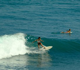 911 Day Surf and Chill Package in Uluwatu, Bali, Indonesia - Photo 1