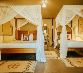 5 días de safari de lujo en Kenia en las reservas nacionales de Samburu y Masái Mara - Photo 5
