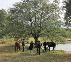 18 Tage Wochen Sternritt: Eine ganze Woche Reiten mitten in der Natur, Łubowo, Polen - Photo 1
