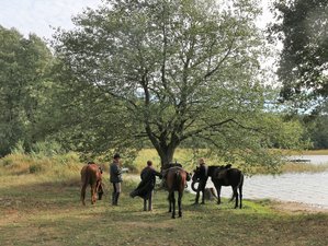 8 Tage Wochen Sternritt: Eine ganze Woche Reiten mitten in der Natur, Łubowo, Polen