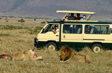 5-Daagse Wildlife Safari in Masai Mara, Lake Nakuru, Hell's Gate en Lake Naivasha in Kenia