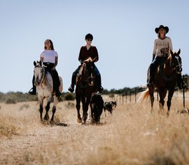 6 Day Rescue Horse Ranch Vacation in New Mexico, USA: Ride with Purpose - Photo 3