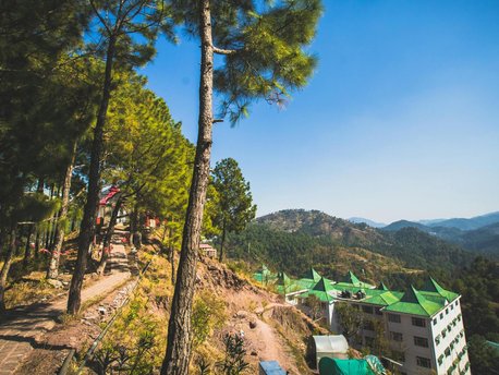 Solan