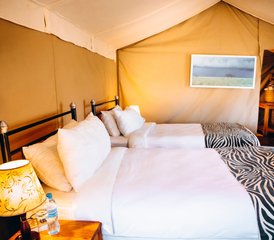 7 jours explorez le cœur de la Tanzanie: safari dans le Serengeti, Tarangire et le cratère du Ngorongoro - Photo 5