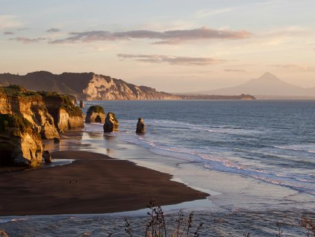 New Plymouth (district)