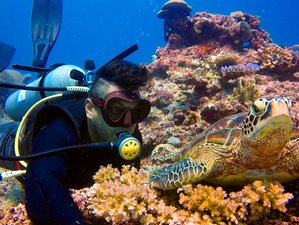 8 Day 'Explore Paradise, Explore Adventure' Mamanuca and Yasawa Islands Diving Charter