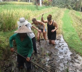 7-Daagse Balinese Cultuur-, Natuurverkenning- en Persoonlijke Ontwikkeling Yoga Retreats in Bali, Indonesië - Photo 5