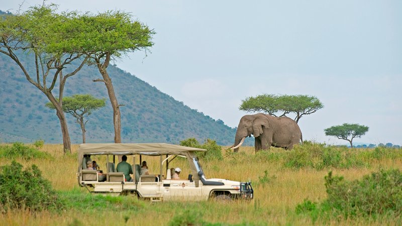 10 Days Isebania Border Point Budget Safari Tour in Kenya and Tanzania ...