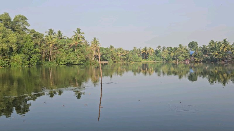 15 jours en cure ayurvédique, yoga et tourisme au Kerala, dans le sud de l'Inde
