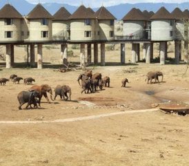 2-Daagse Aberdare National Park Luxe Lodge Safari - Photo 3